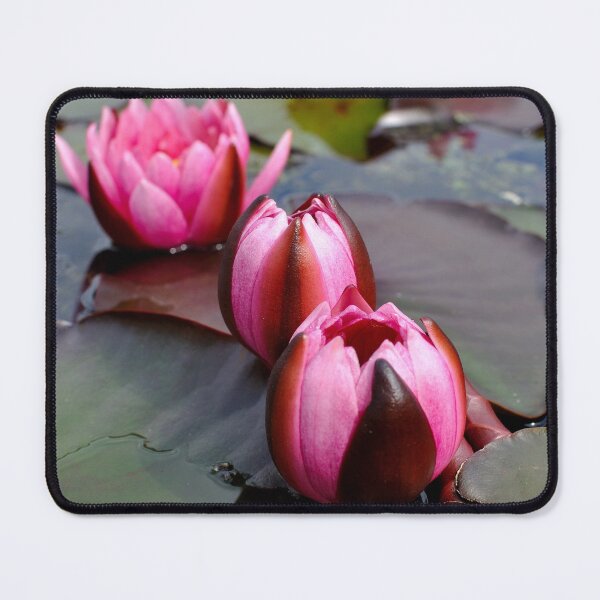 Item preview, Water Lilies  designed and sold by DesignMore21.