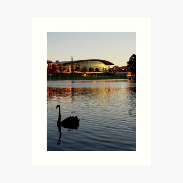 Item preview, Along the Torrens designed and sold by Shannon Mowling.