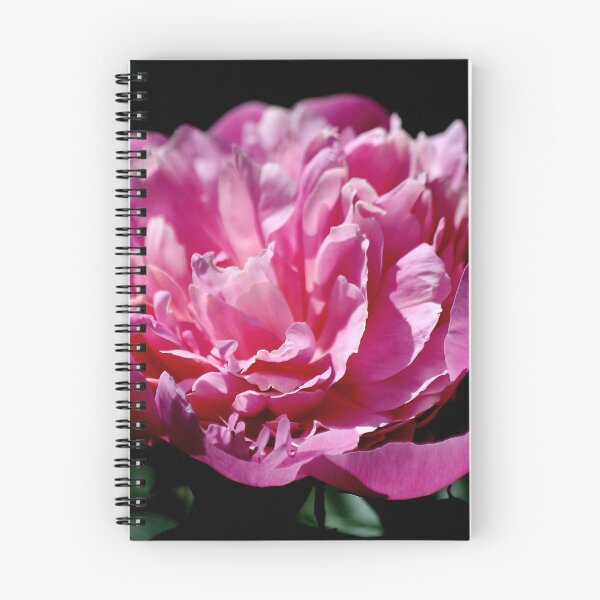 Item preview, Peony  designed and sold by photoclique.