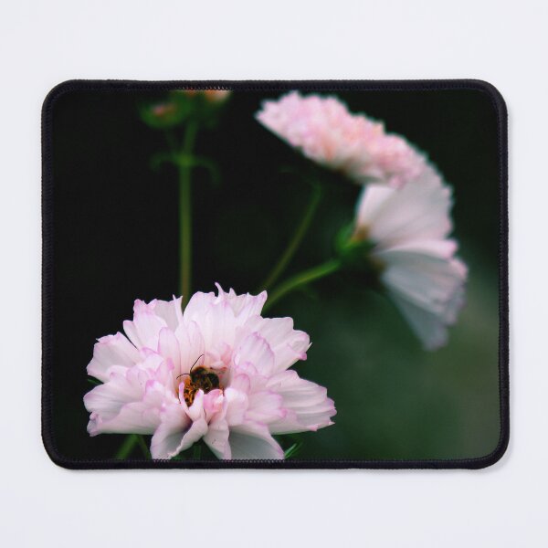 Item preview, Seashell Cosmos  designed and sold by photoclique.