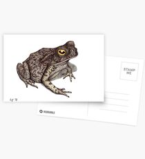 Toad Postcards