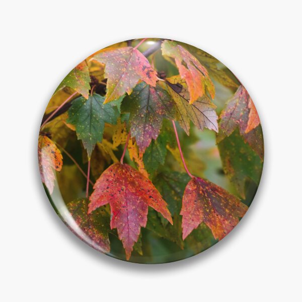 Item preview, Fade to Orange designed and sold by Tracy Engle.