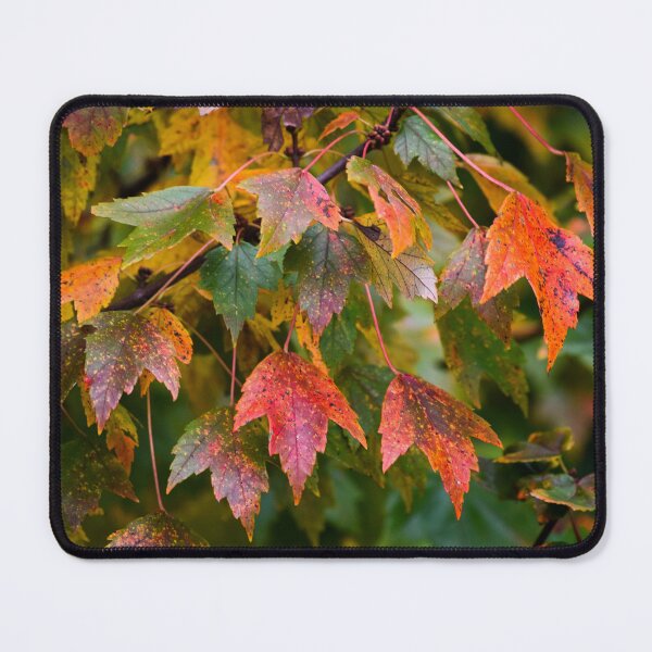 Item preview, Fade to Orange designed and sold by Tracy Engle.