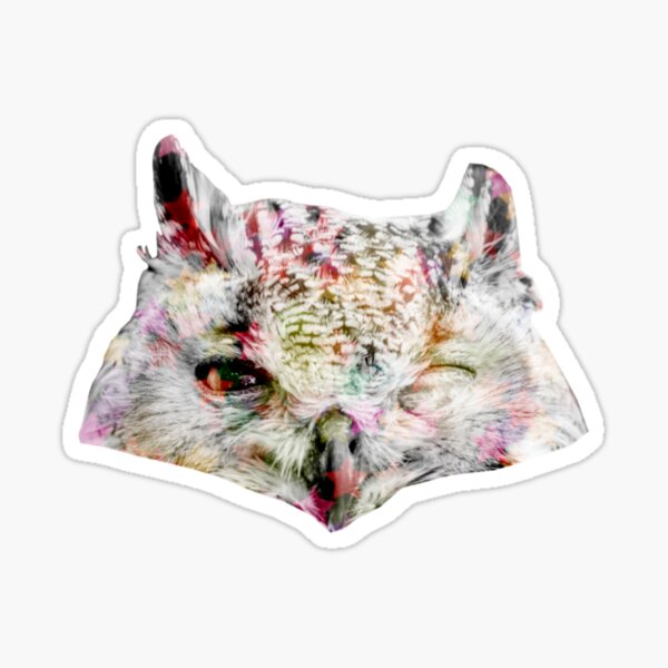 Owl Disco Sticker