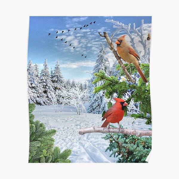 Christmas Holiday Snowy Red Cardinal Bird women's T-Shirt