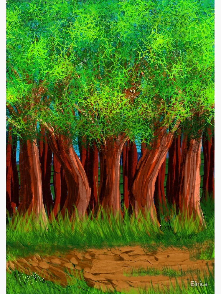 "Forest of big trees and brittle ground" Poster by Elnica Redbubble