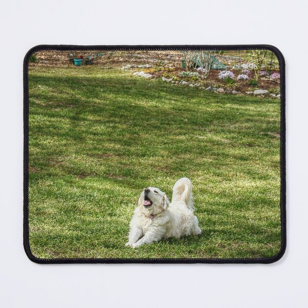 Item preview, A Big Yawn designed and sold by SarahEL17.