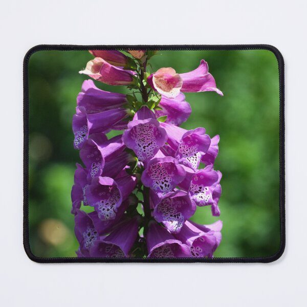 Item preview, Foxglove designed and sold by Tracy Engle.