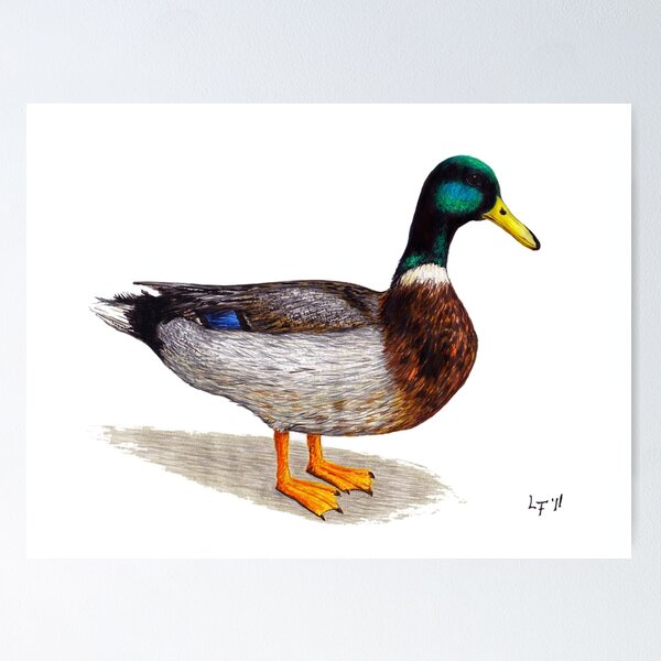 Item preview, Duck designed and sold by Lars Furtwaengler.