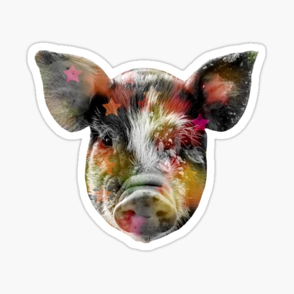 Pig Disco Sticker
