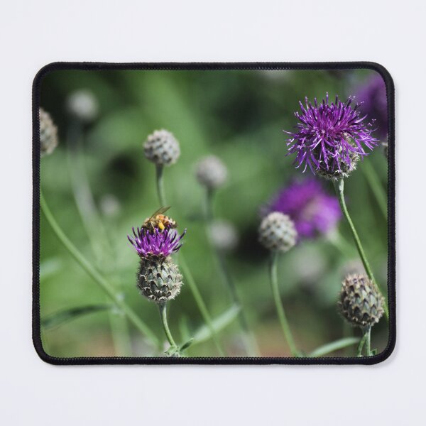 Item preview, Gentle Bee designed and sold by Tracy Engle.
