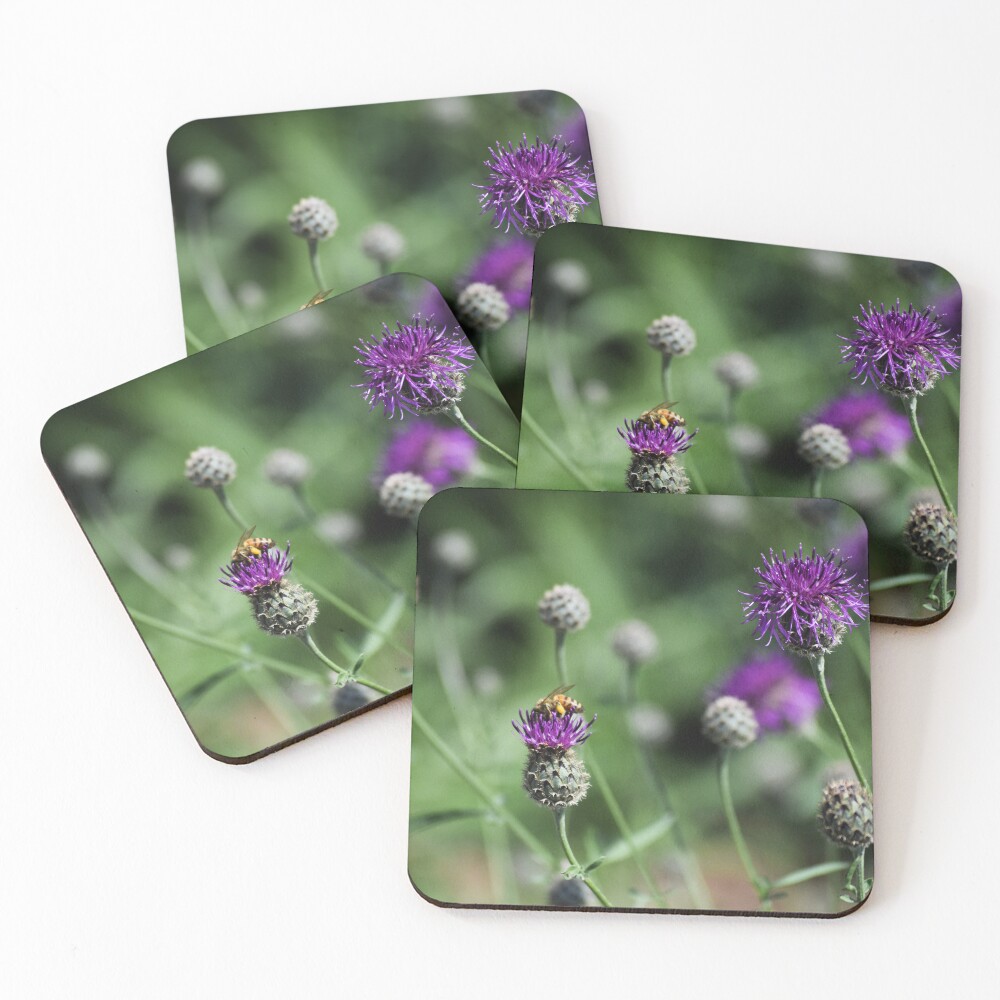 Item preview, Coasters (Set of 4) designed and sold by Reriginal.