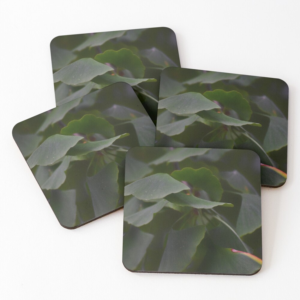 Item preview, Coasters (Set of 4) designed and sold by Reriginal.
