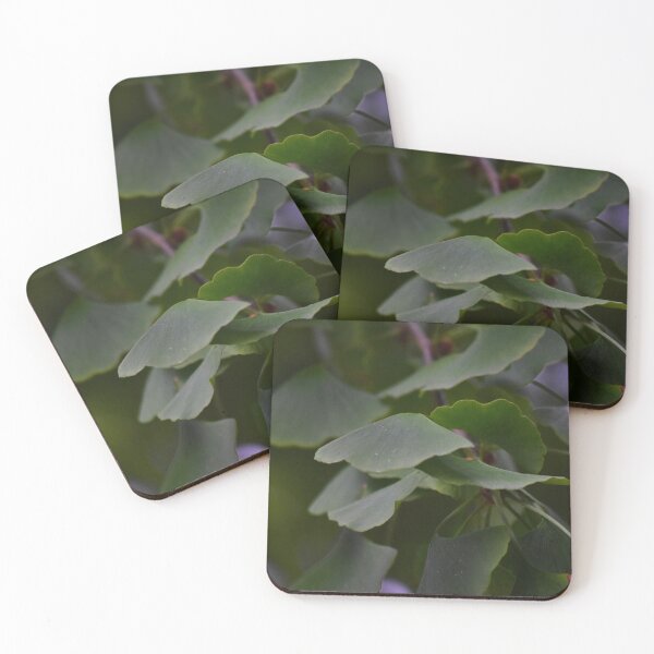 Item preview, Gingko designed and sold by Tracy Engle.