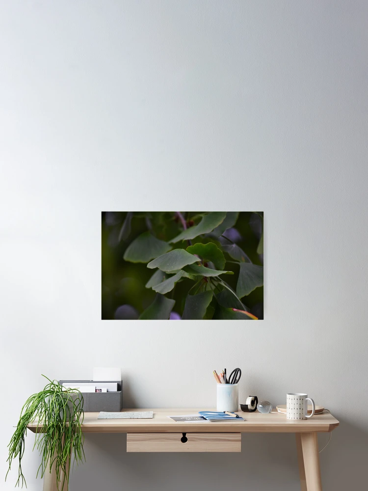 Thumbnail 2 of 3, Poster, Gingko designed and sold by Tracy Engle.