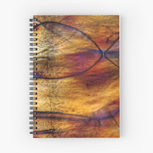 Item preview, Nodules of Polystyrene under  the microscope designed and sold by Zosimus.