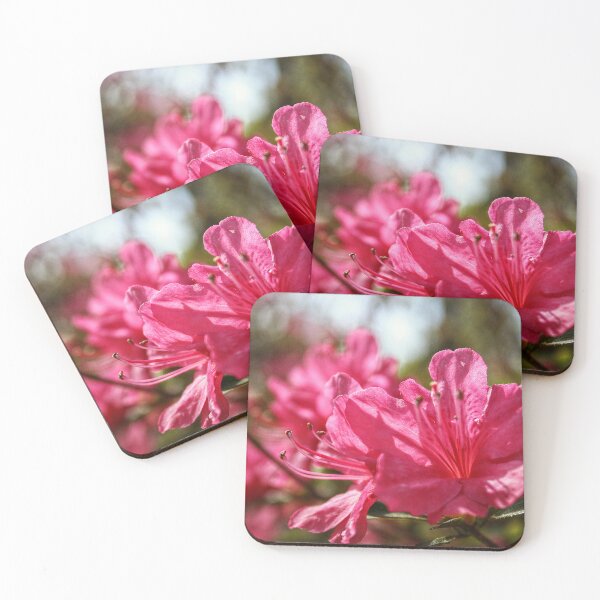 Item preview, Close Up of Warm Azaleas designed and sold by SarahEL17.