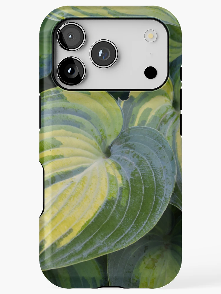Imagen 1 de 4, Funda de iPhone con la obra Hosta, diseñada y vendida por Tracy Engle.