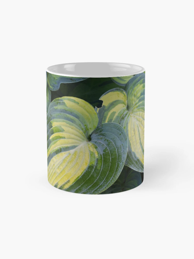 Thumbnail 4 of 6, Coffee Mug, Hosta designed and sold by Tracy Engle.