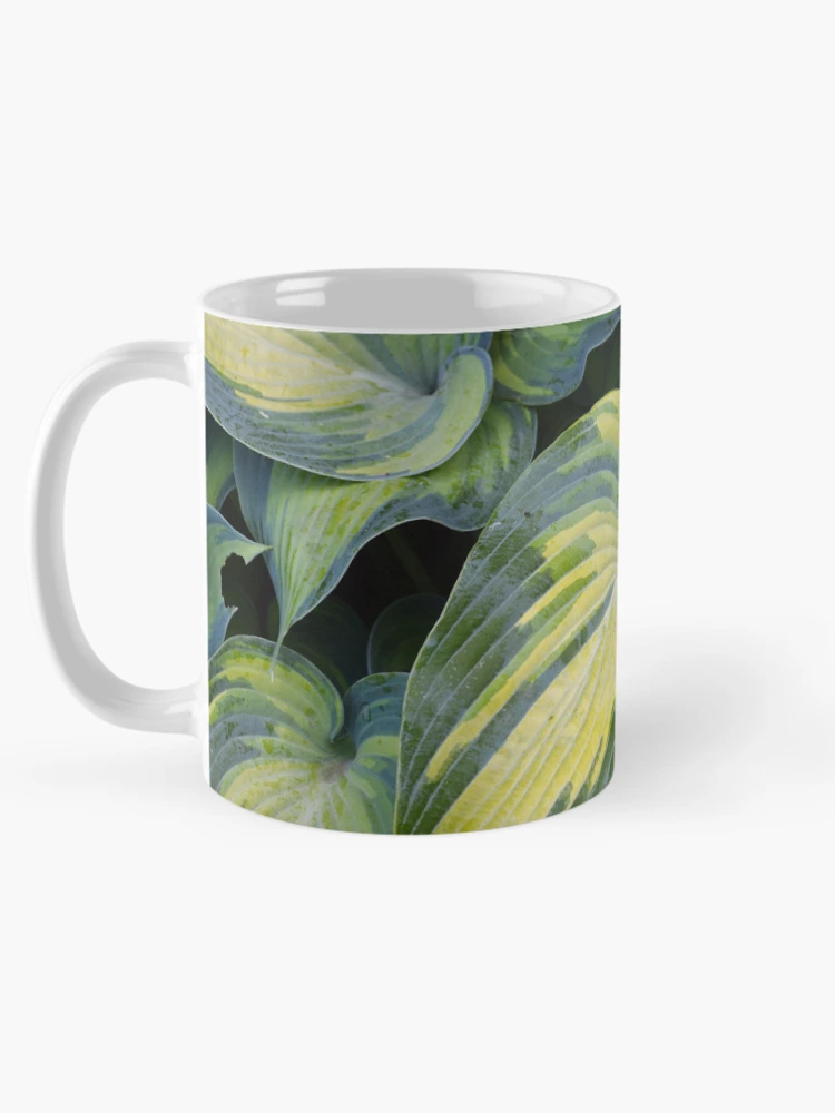 Thumbnail 5 of 6, Coffee Mug, Hosta designed and sold by Tracy Engle.