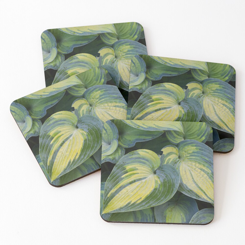 Item preview, Coasters (Set of 4) designed and sold by Reriginal.