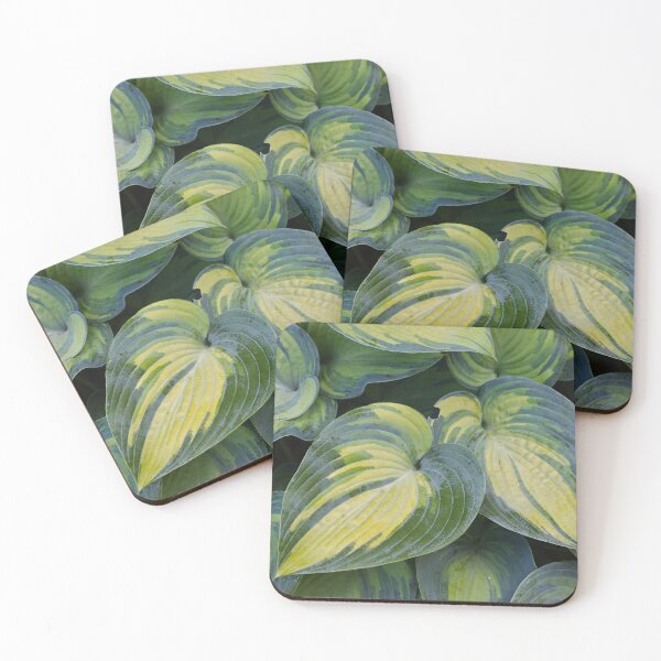 Item preview, Hosta designed and sold by Tracy Engle.