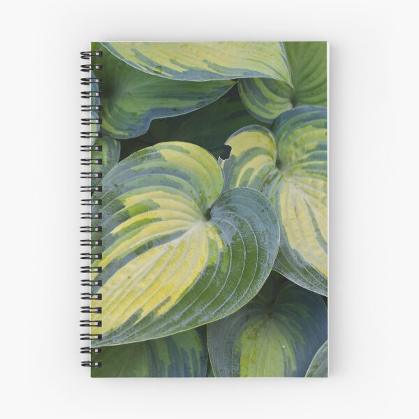 Artikelvorschau, Hosta entworfen und verkauft von Tracy Engle.