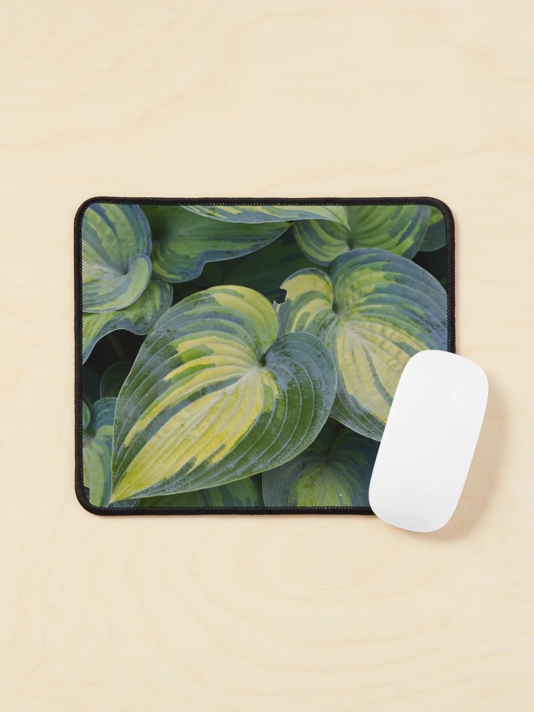 Thumbnail 1 von 5, Mauspad, Hosta designt und verkauft von Tracy Engle.