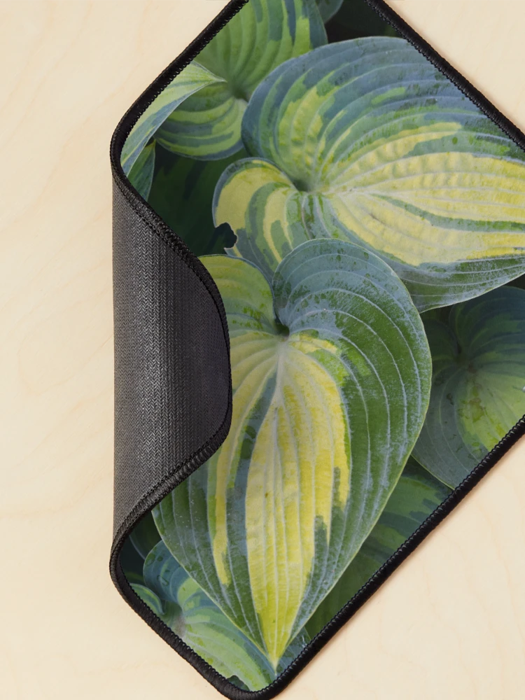 Thumbnail 2 von 5, Mauspad, Hosta designt und verkauft von Tracy Engle.