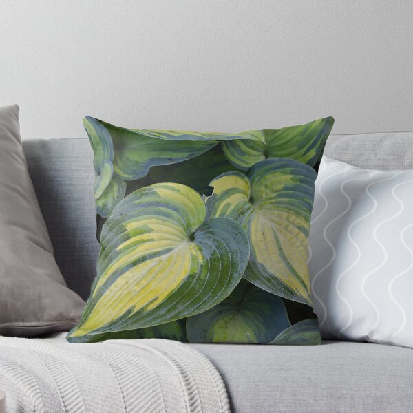 Item preview, Hosta designed and sold by Tracy Engle.