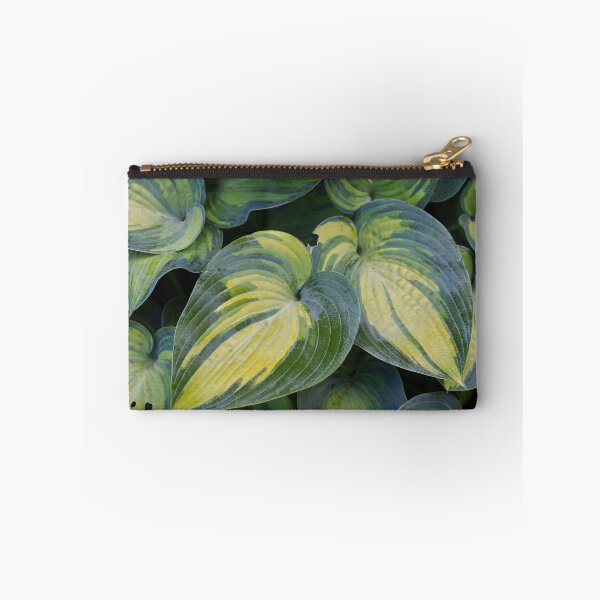 Item preview, Hosta designed and sold by Tracy Engle.
