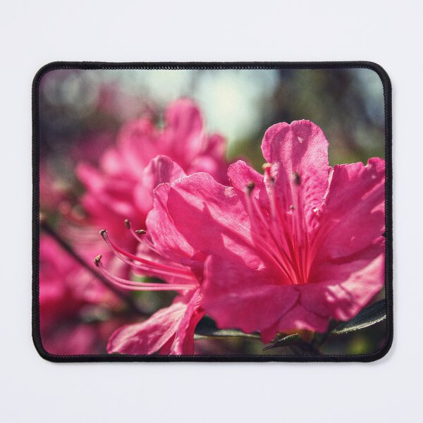 Item preview, Close Up of Cool Azaleas designed and sold by SarahEL17.