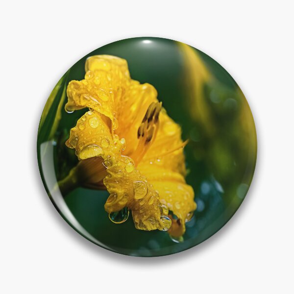 Item preview, Water drops on the yellow flower, blurred image, selective focus designed and sold by Borinna.