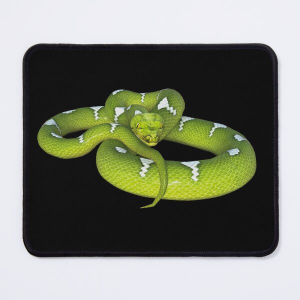 Item preview, Green snake constrictor designed and sold by Photorebelle.