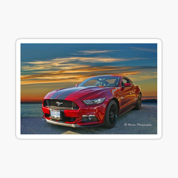 Item preview, Great looking new Mustang designed and sold by rharrisphotos.
