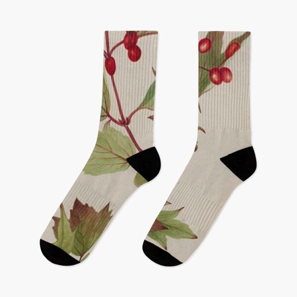 Item preview, Cranberry Bush (Viburnum pauciflorum) designed and sold by CreativImpulses.