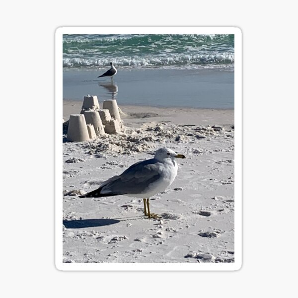 Item preview, Building houses on the sand designed and sold by Pearls1.