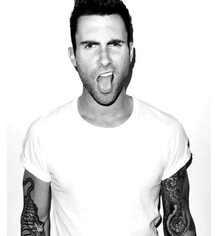 Adam Levine: Stickers | Redbubble