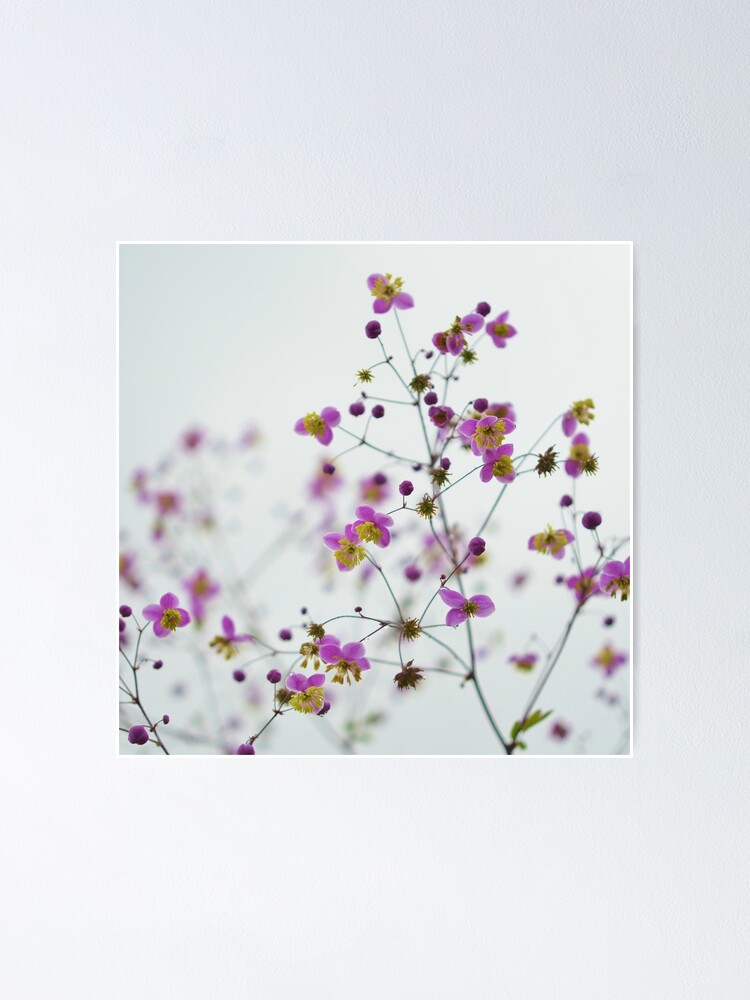 Póster «Hermosas flores moradas y amarillas, diseño de flores.» de VelVetCo  | Redbubble