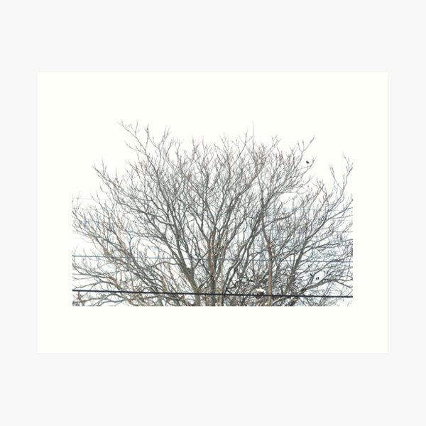 Item preview, Bare Tree designed and sold by steampunklizard.