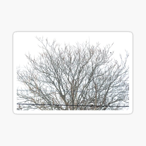 Item preview, Bare Tree designed and sold by steampunklizard.