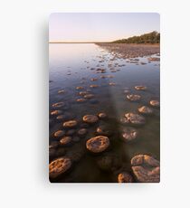 Thrombolites of Lake Clifton Metal Print