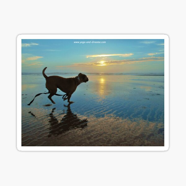 ddawg Sticker