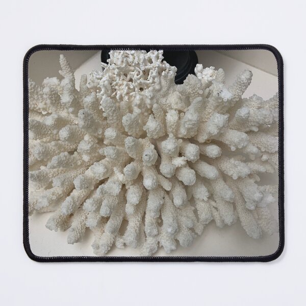 Item preview, Coral designed and sold by Pearls1.