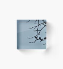 Rememberance Acrylic Block