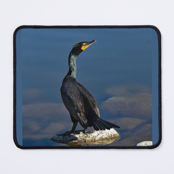 Item preview, Crested Cormorant designed and sold by CarolM.