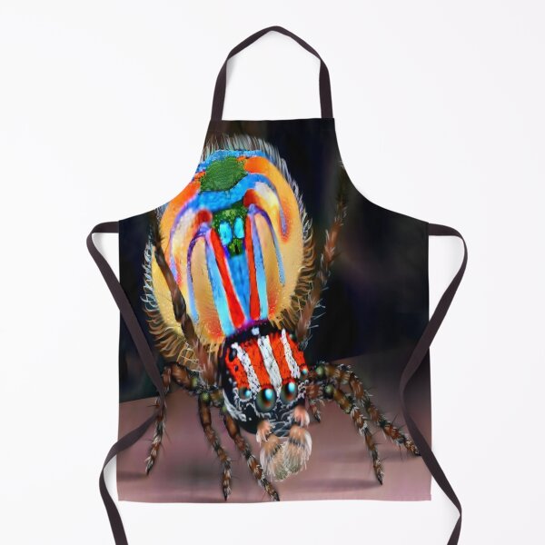 Item preview, Peacock Spider illustration premium design  designed and sold by truemoneyman.