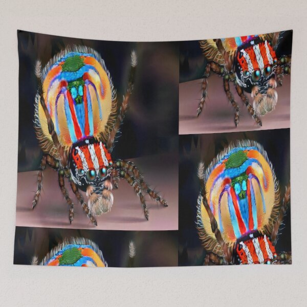 Item preview, Peacock Spider illustration premium design  designed and sold by truemoneyman.