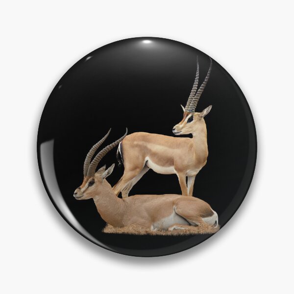 Item preview, Grant's gazelle - Gazelle, wildlife in Kenya / Africa designed and sold by TShirtsundMehr.