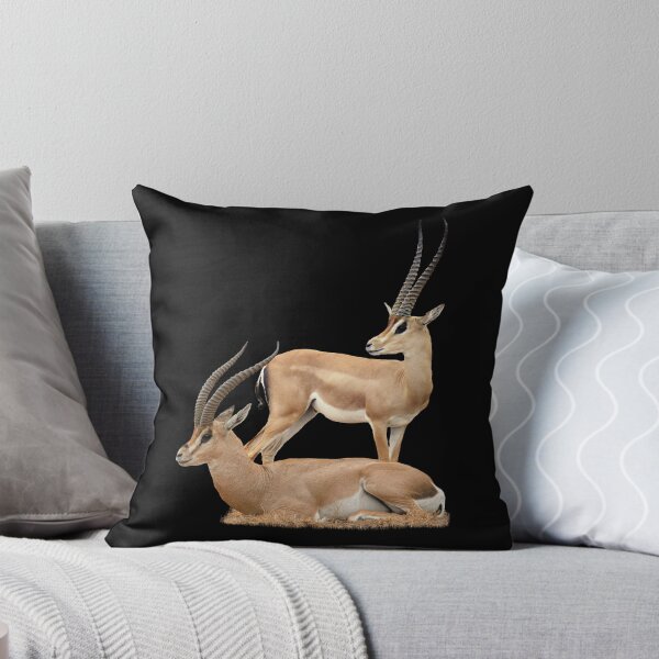 Artikelvorschau, Grant-Gazellen - Gazelle, Wildtiere in Kenia / Afrika entworfen und verkauft von TShirtsundMehr.